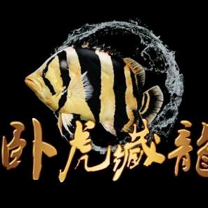 ～卧虎藏龙～