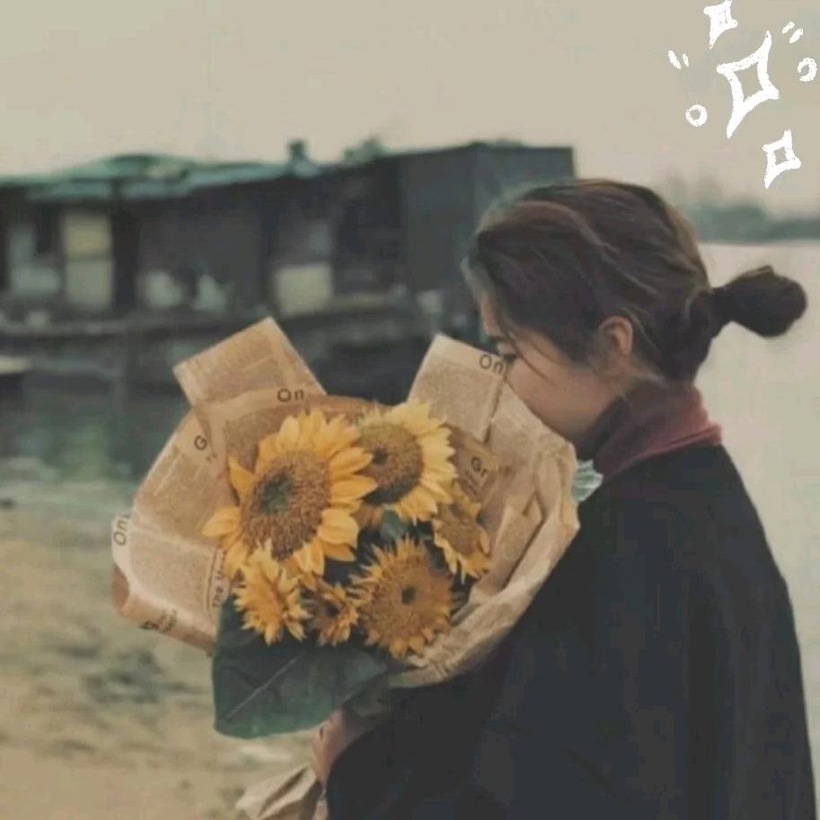 爱吃豆芽儿的蚂蚁