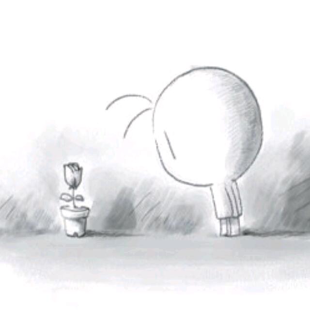 大肥猫