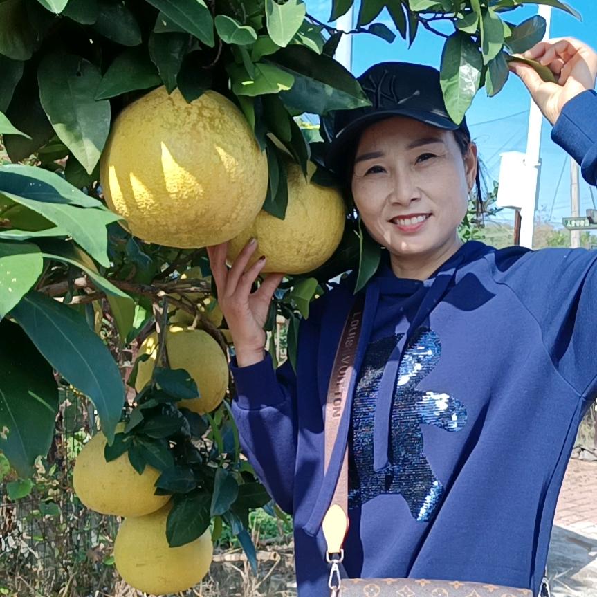 杨菁