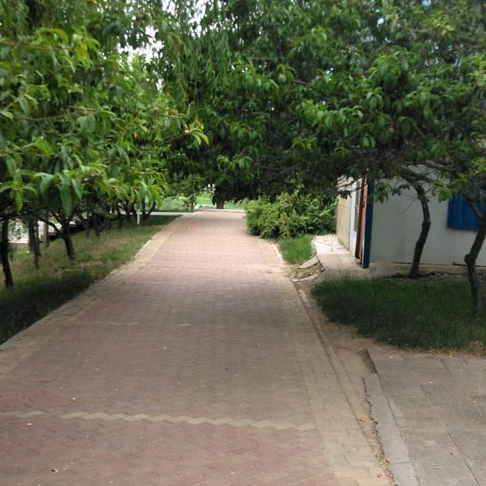 喜悦而来