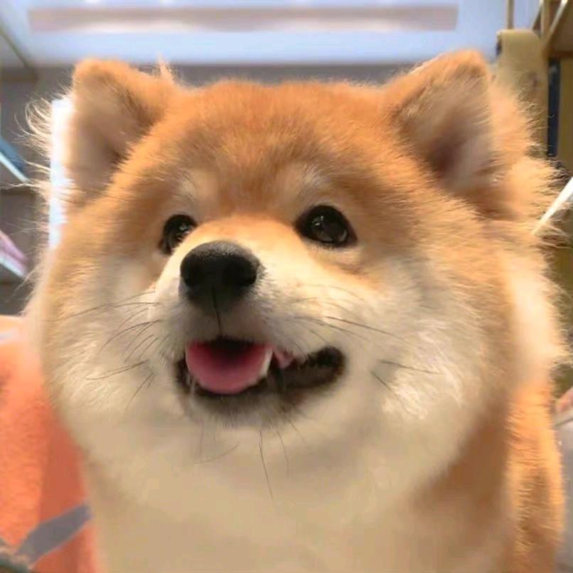 鸡会难得