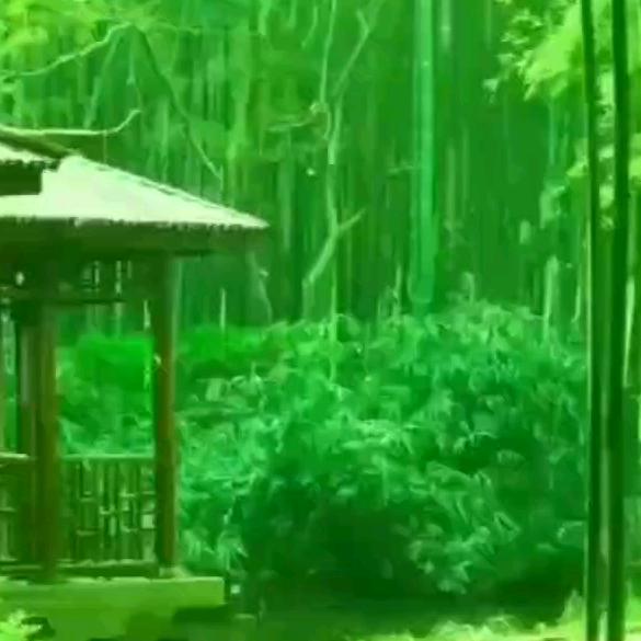 呼叫转移
