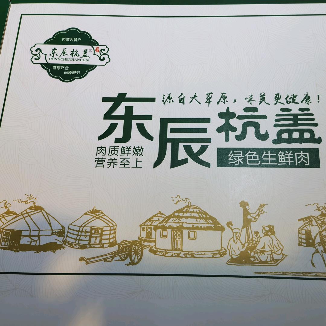 东辰杭盖农牧业