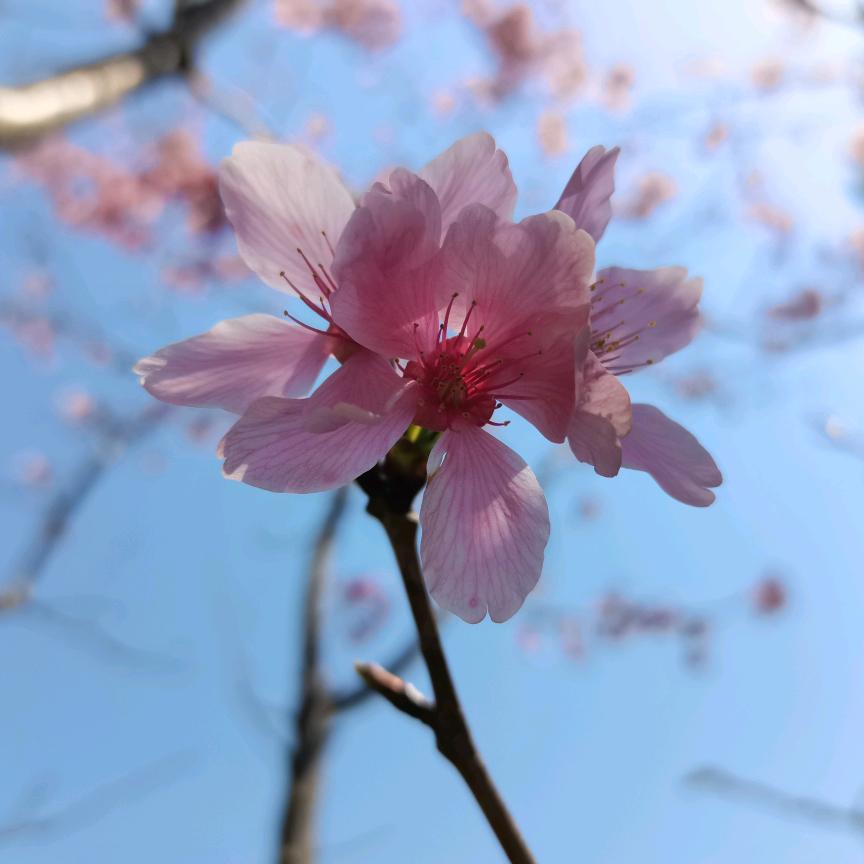 🌕🌖🌗🌘🌑🌒🌓🌔