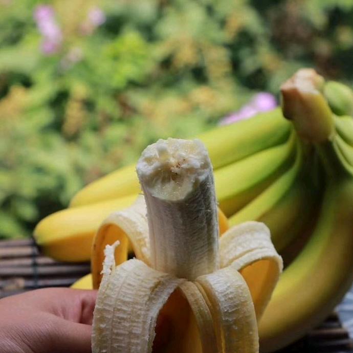 果果阳水果商贸