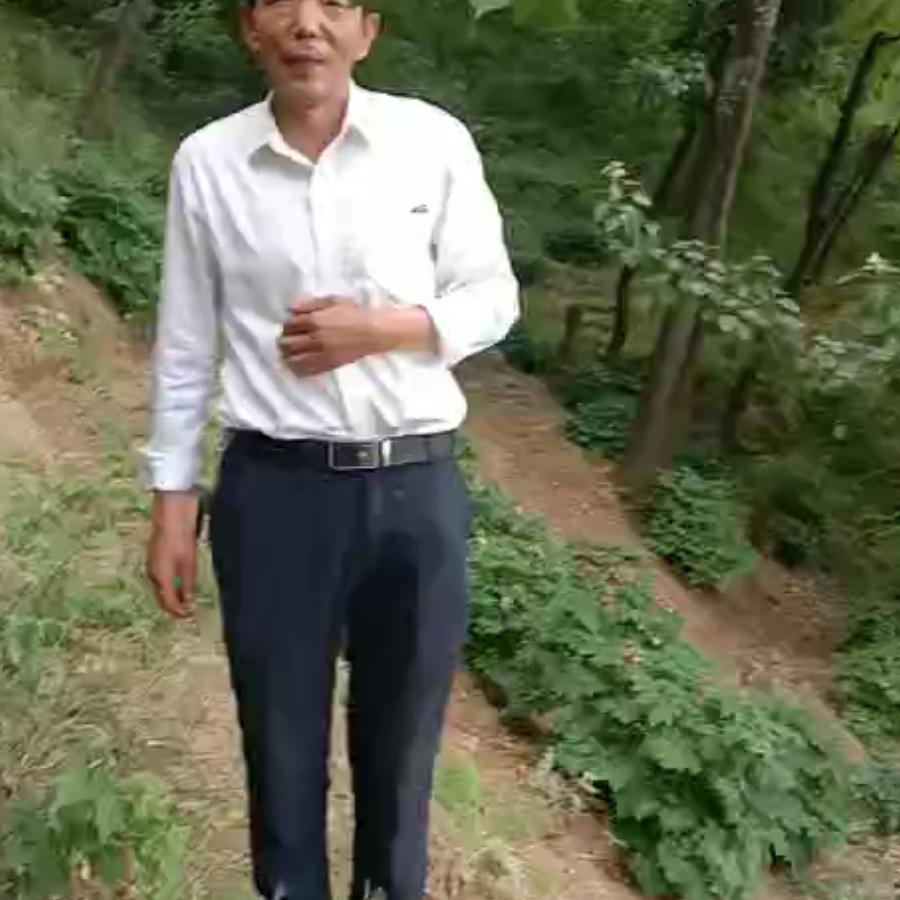 孙宝成