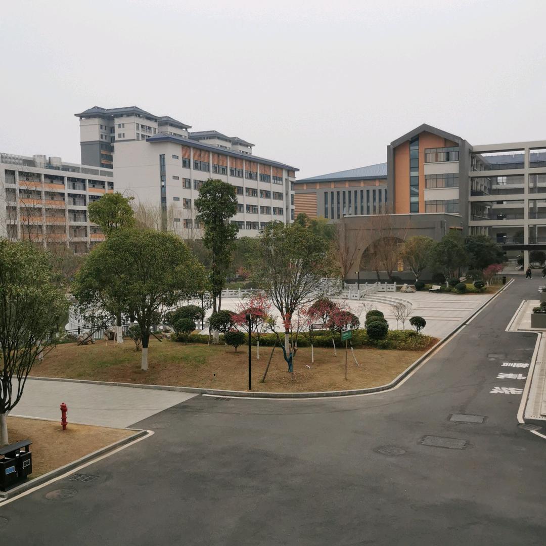 阳光里