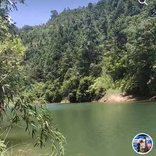 七彩晨鱼🐟