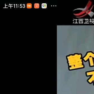 莲花