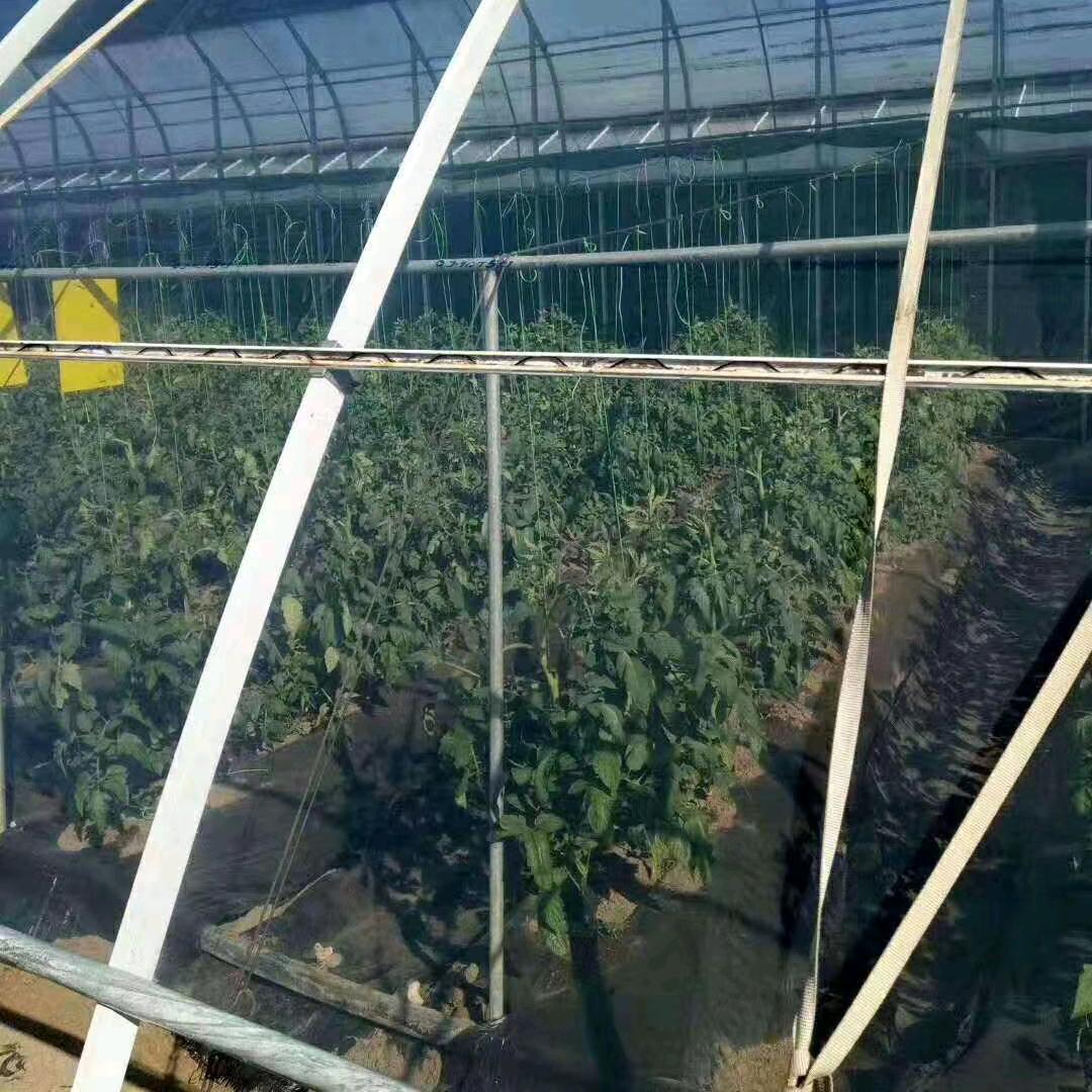农膜生产厂家精品水晶po膜