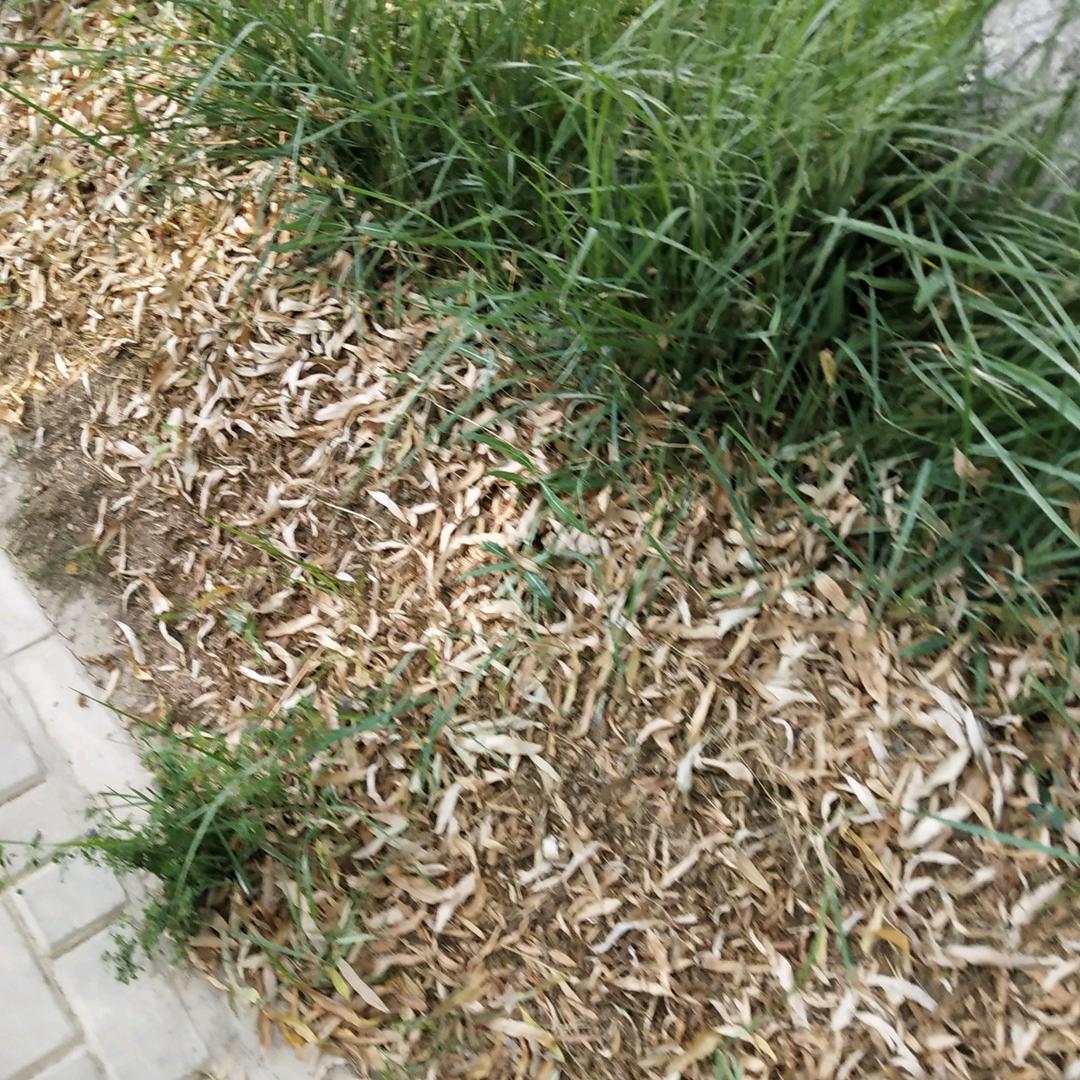 用户9539452501371
