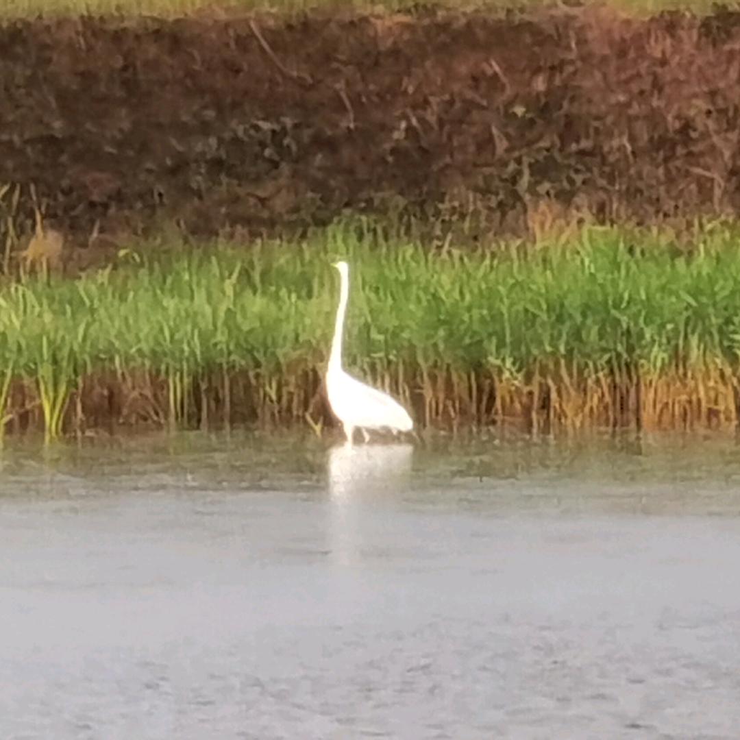 风平浪静