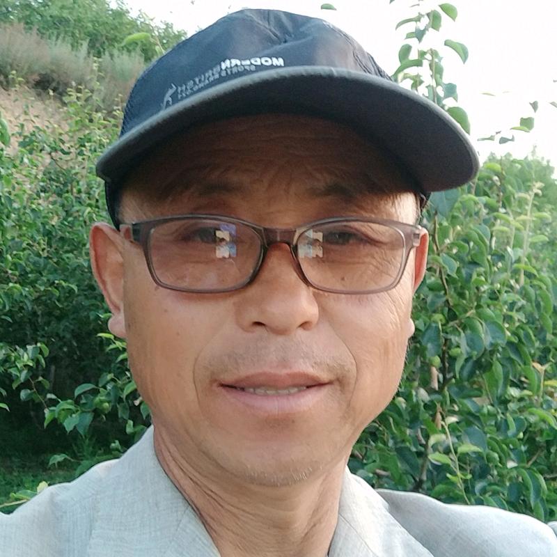 乾县酥梨苹果代收（水果哥）