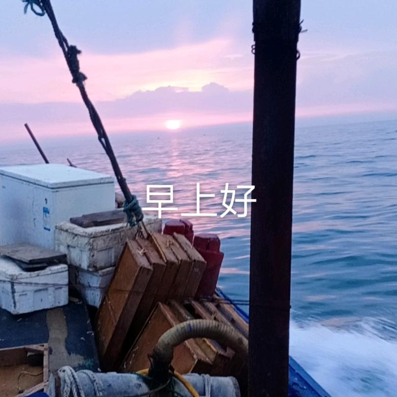 梦