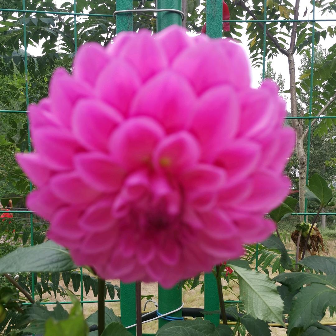 珍惜缘分