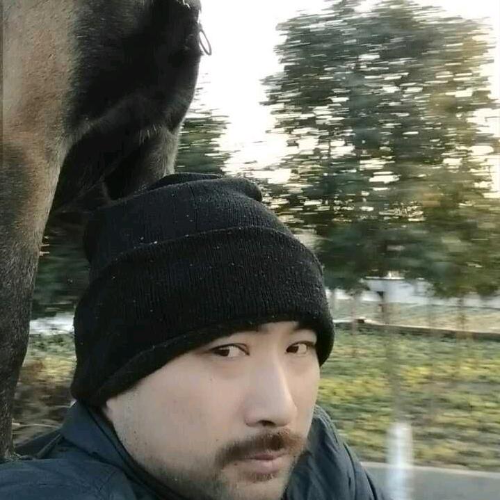 盐城大胡子(五黑犬)