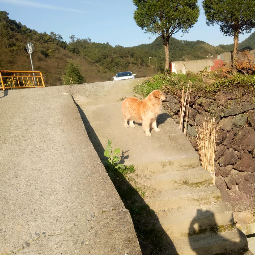 跋山涉水，只为见你。。。