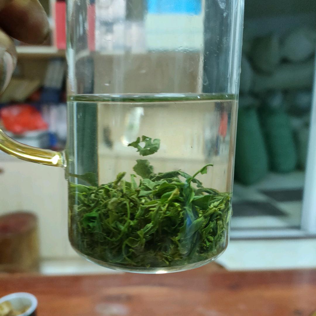 以茶会友