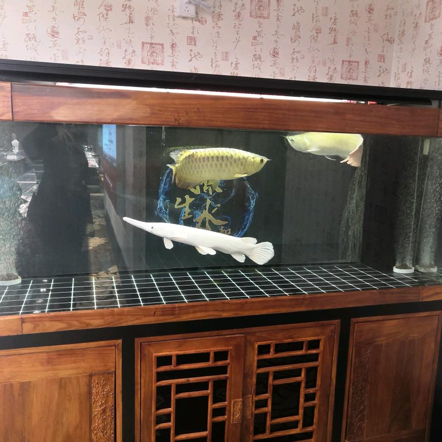悠然心动