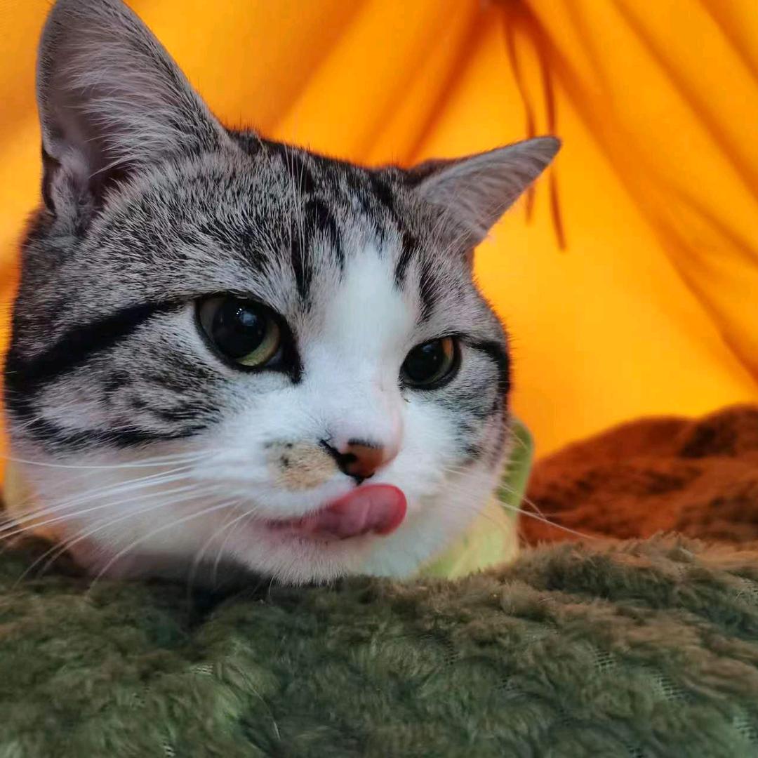 团团和麻麻的日常