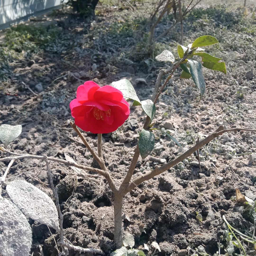无虑无忧