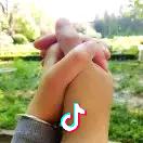 哈撒啦沙漠的北极牛