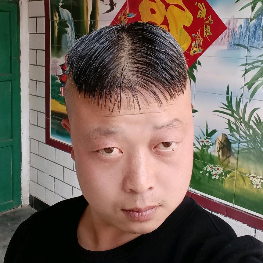 骑鹅追太阳