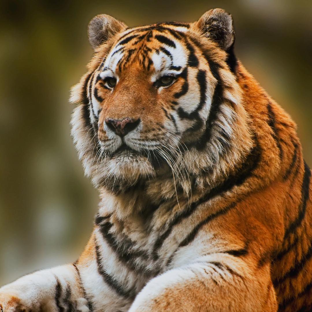 谁有故事，我有酒