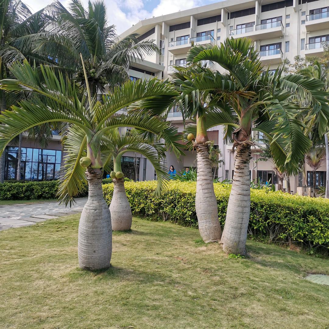 寿光金彭电动车运营（建桥店）