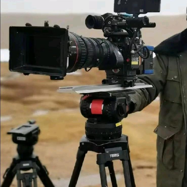 野生动物保护员gama1376☜