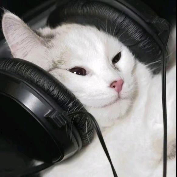 懿f
