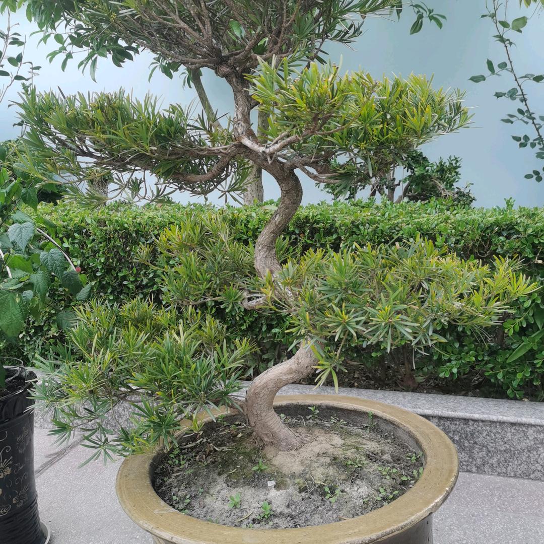 后港何江华花钱对联中堂福字批发零售部