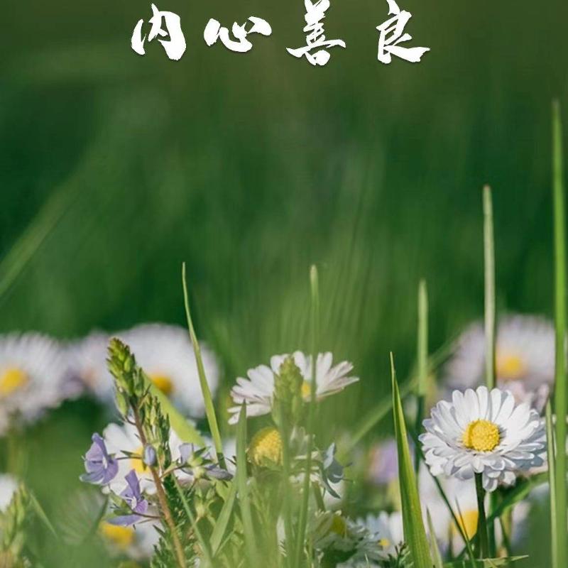 静静的发发呆