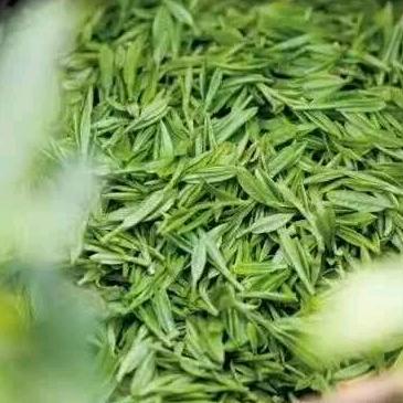 遇见你是最美丽的意外