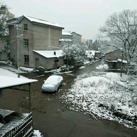 泰山