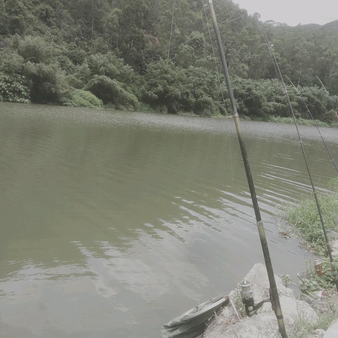 一个在奋斗