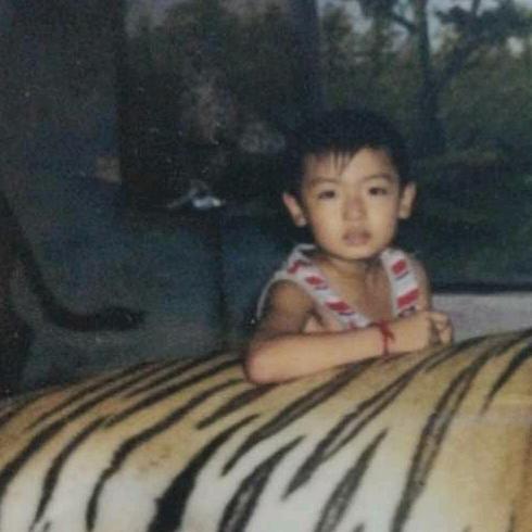 一拳打爆小学生