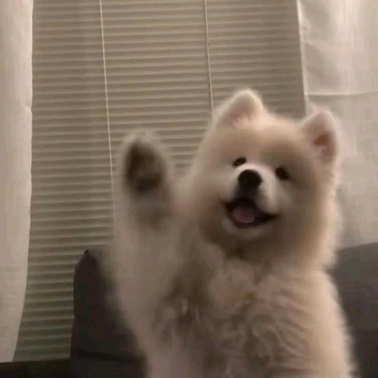 。。。gh