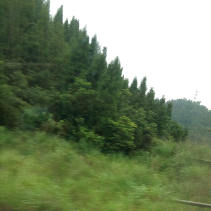放下一切