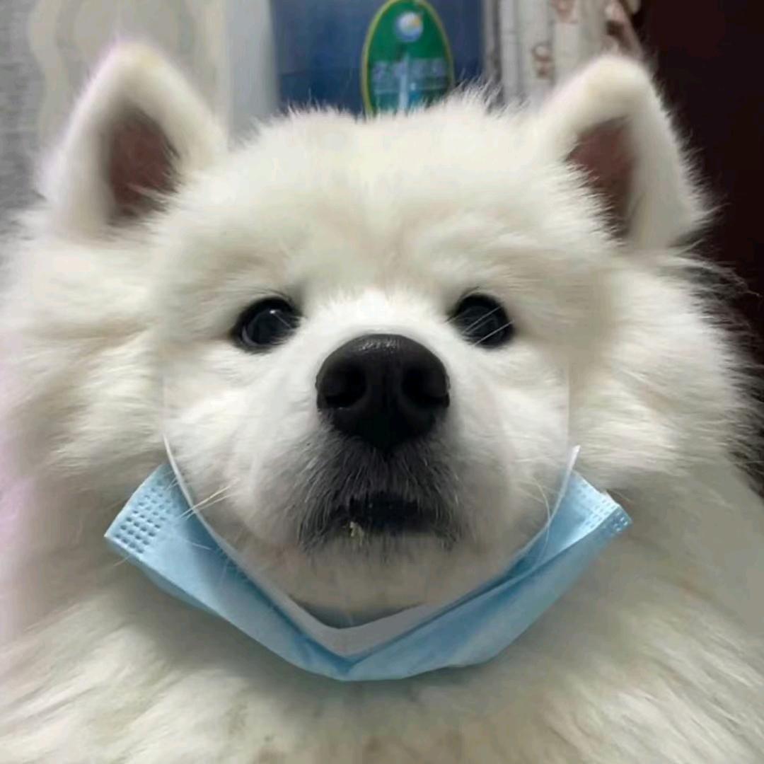 🌈南山无梅落👑