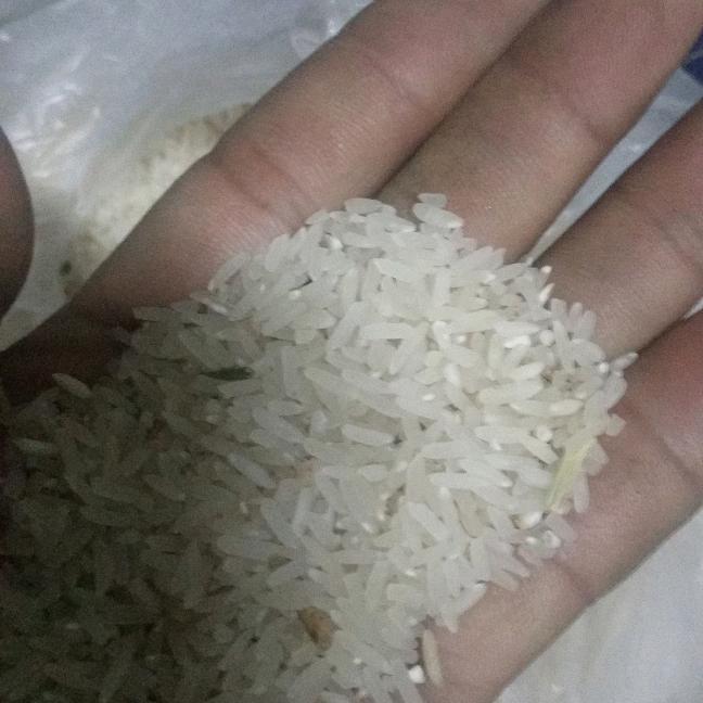 悠闲时光