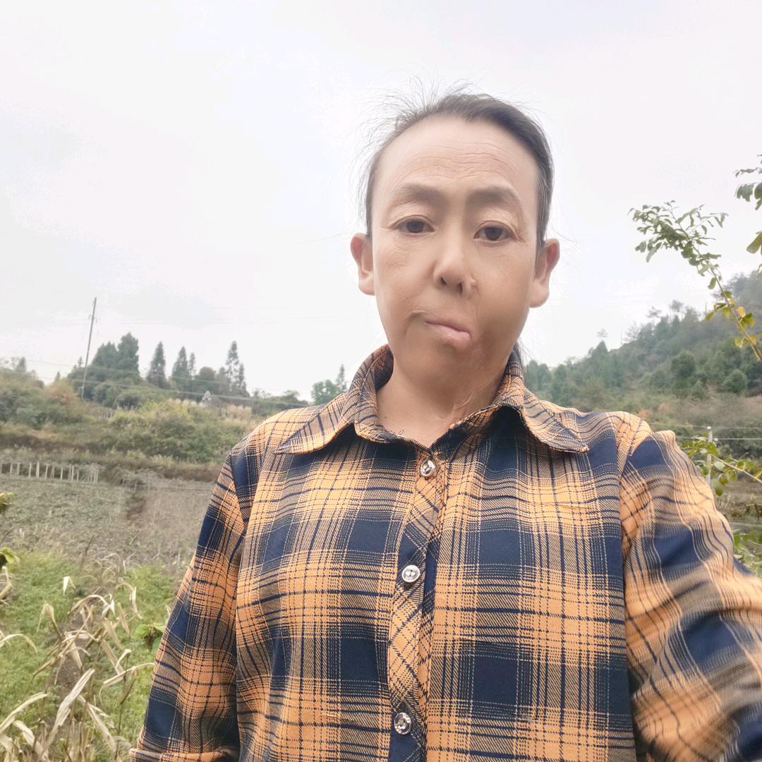 二月菊