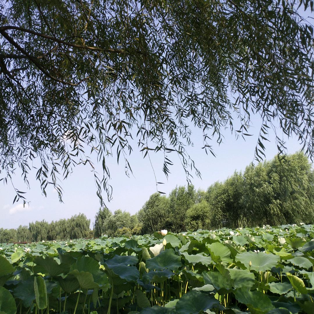 🌹一路前行🌹