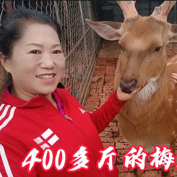 春望田园