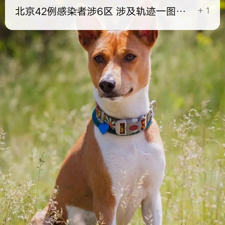 王小宁