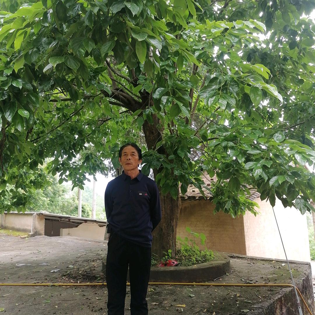 村口一号