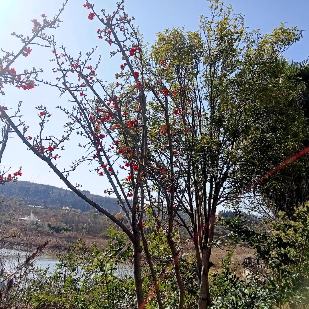 晓🌹然