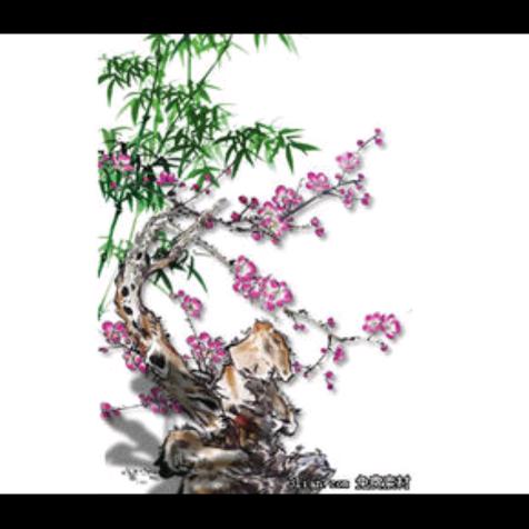 用户7569225935299