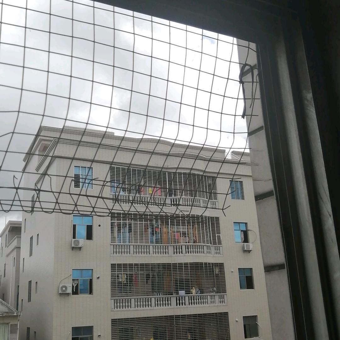 遂川亚龙